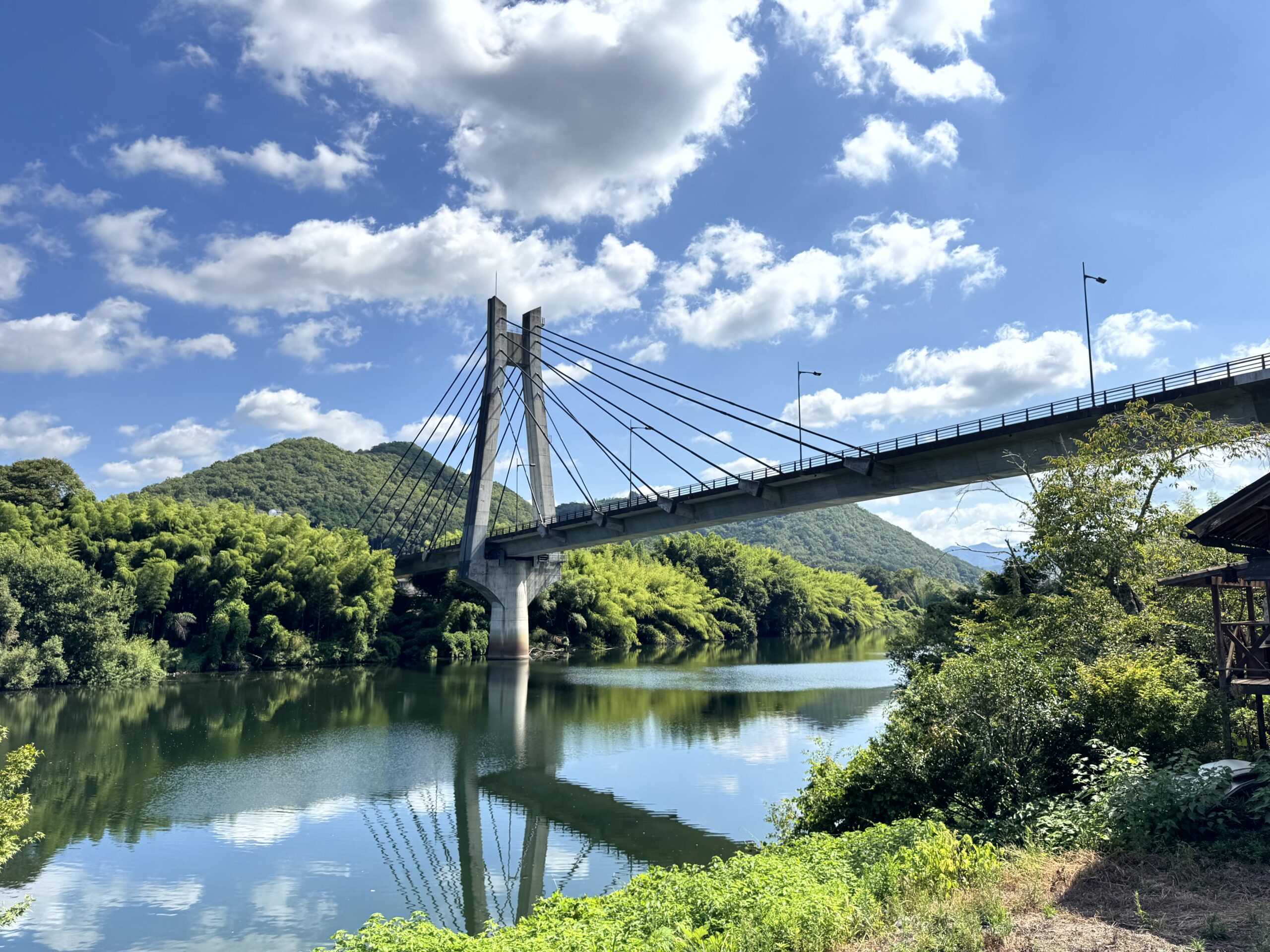 フォトギャラリー